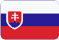 TTC Brandýs n.L. - stolní tenis Slovensky